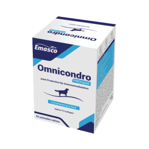 قرص omnicondro امسکو مخصوص سگ و گربه