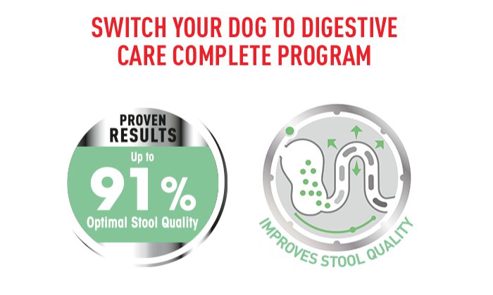 RoyalCanin DigestiveCareMedium4 2 —پت شاپ پت پارس