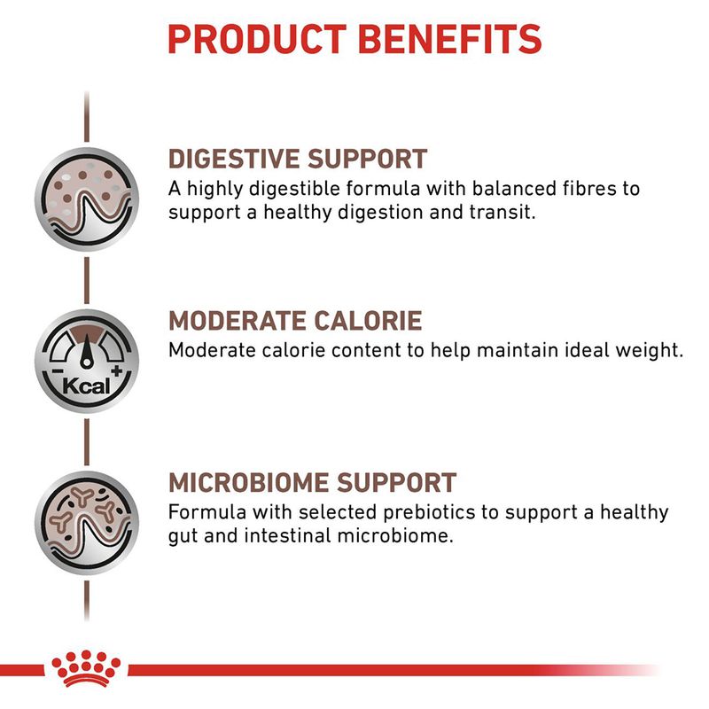 پوچ گربه رویال کنین مدل گسترو Moderate Calorie
