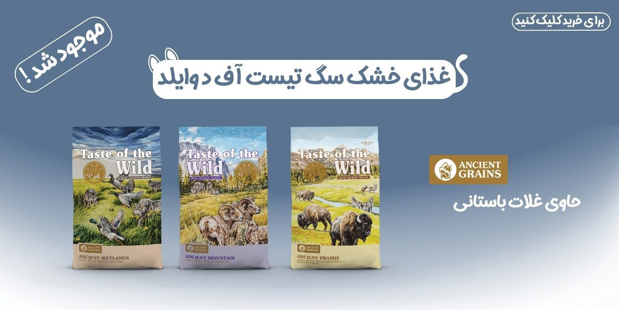 2 3 1 —پت شاپ پت پارس