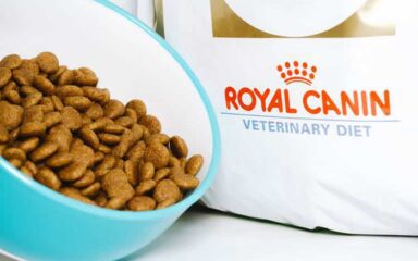 آشنایی با غذای خشک برند رویال کنین (Royal Canin)