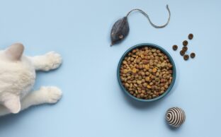 بررسی انواع مختلف کنسروهای برند جی کت