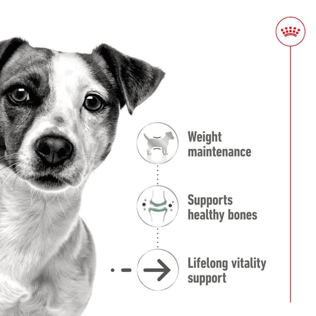 پوچ سگ رویال کنین مدل Mini Ageing