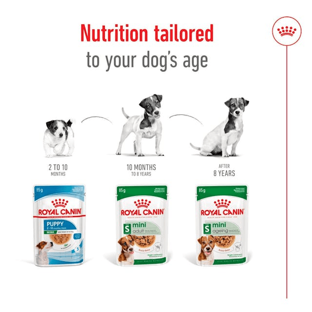 پوچ سگ رویال کنین مدل Mini Ageing