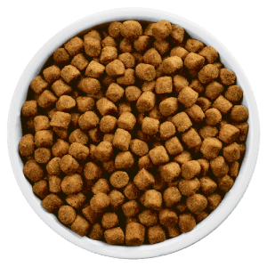 hills dog food for joints