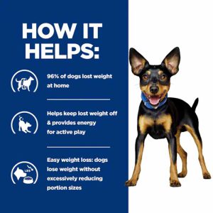 غذای خشم سگ هیلز metabolic