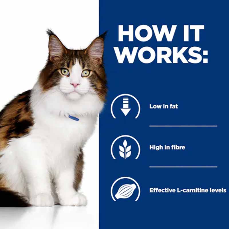 w/d Multi-Benefit Cat Food