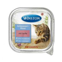 ووم گربه ویسنتون با طعم ماهی قزل آلا