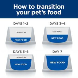 غذا خشک سگ حساسیت های غذایی نژاد کوچک