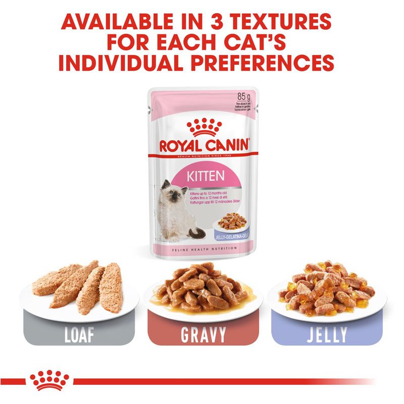 royal canin kitten wet food
